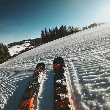 Mein Fast Hotel Wenigzell