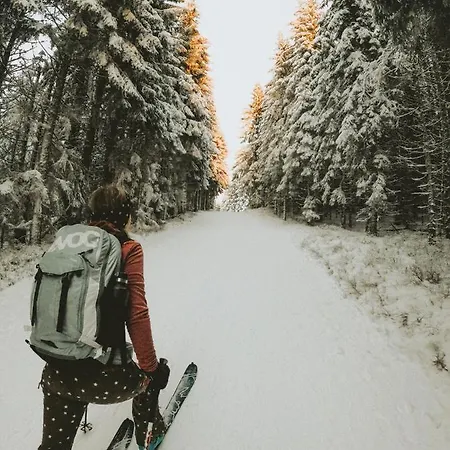 Mein Fast Hotel Wenigzell