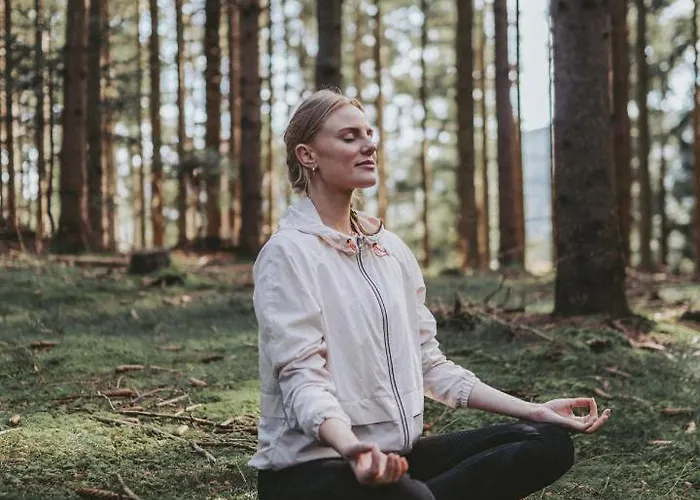 فندق Mein Fast Wenigzell