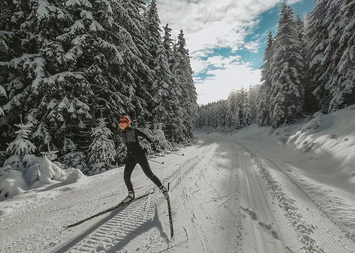 فندق Mein Fast 4*