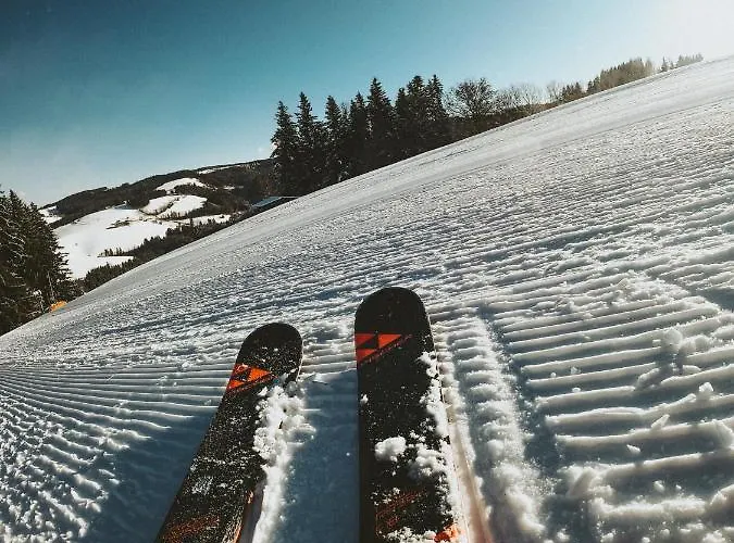 Mein Fast فندق Wenigzell