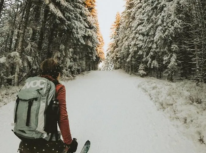 Mein Fast فندق Wenigzell